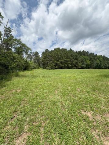 Tbd County Road 425 Tenaha TX 75974