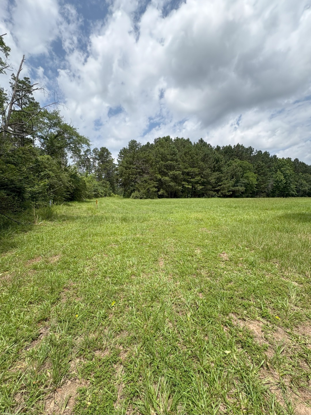 Tbd County Road 425 Tenaha TX 75974