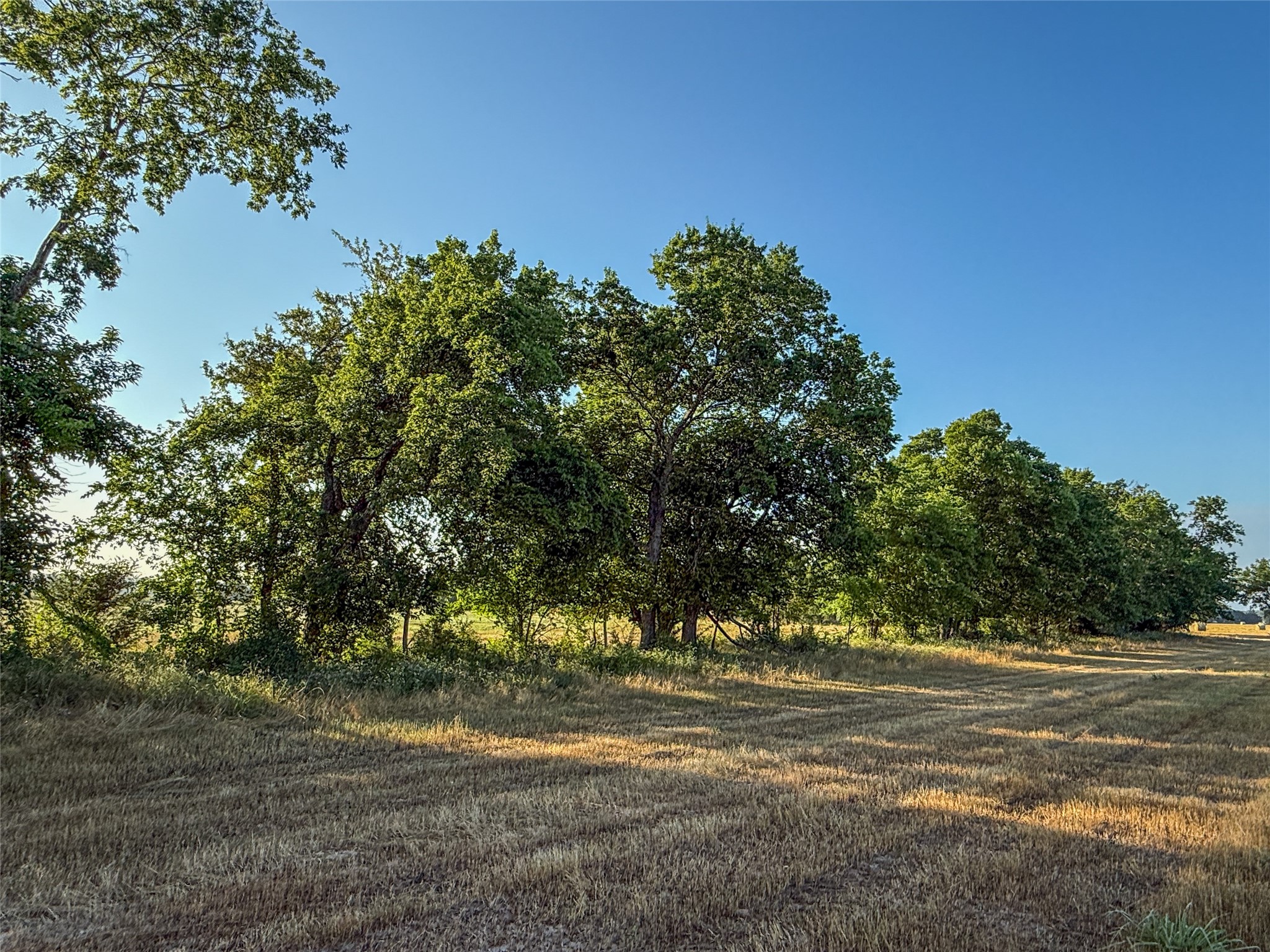 Tbd Highway 34 Honey Grove TX 75446