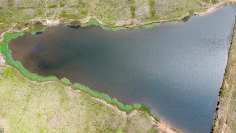 Tbd Fm 1001 Cookville TX 75558