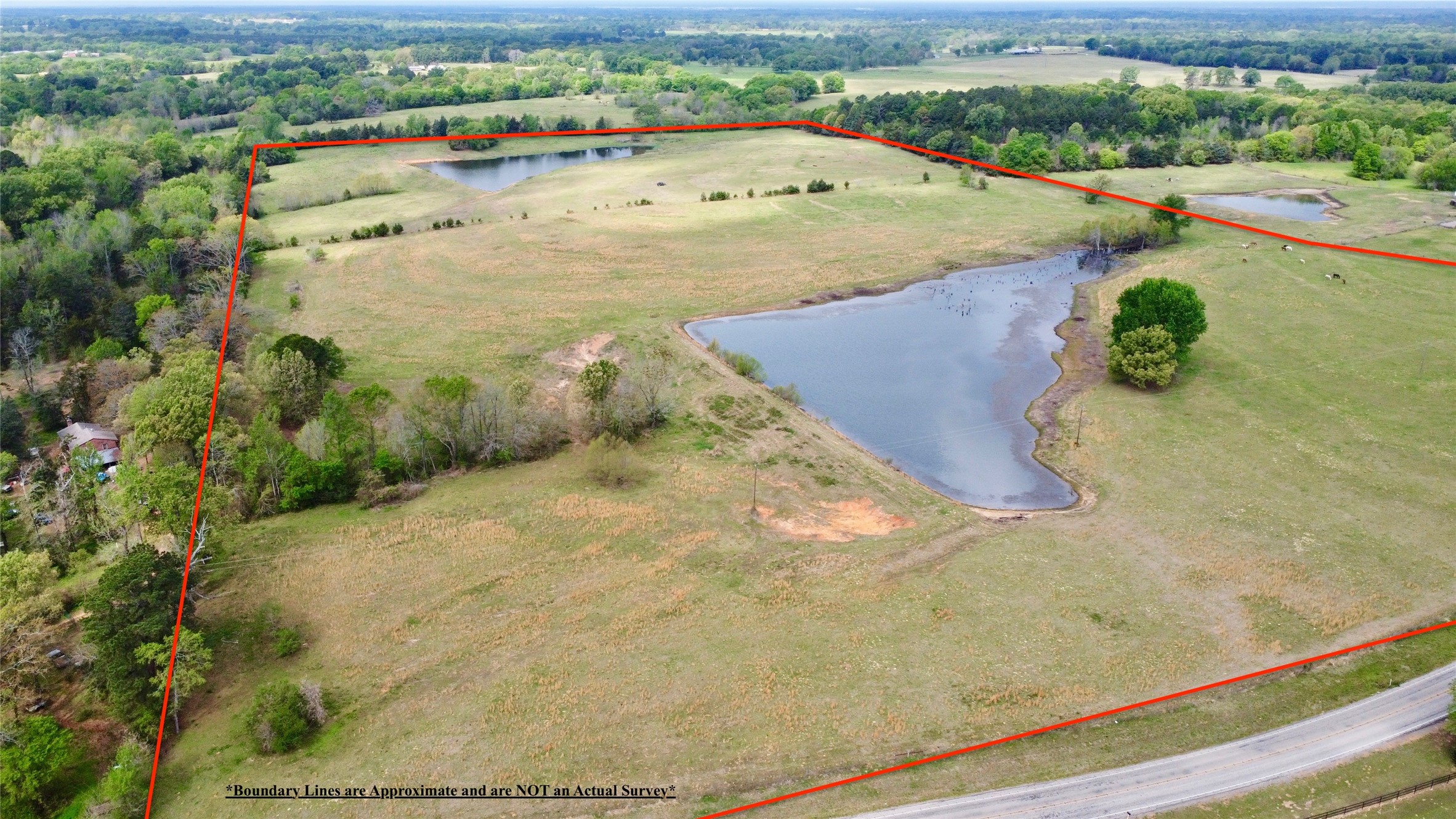 Tbd Fm 1001 Cookville TX 75558