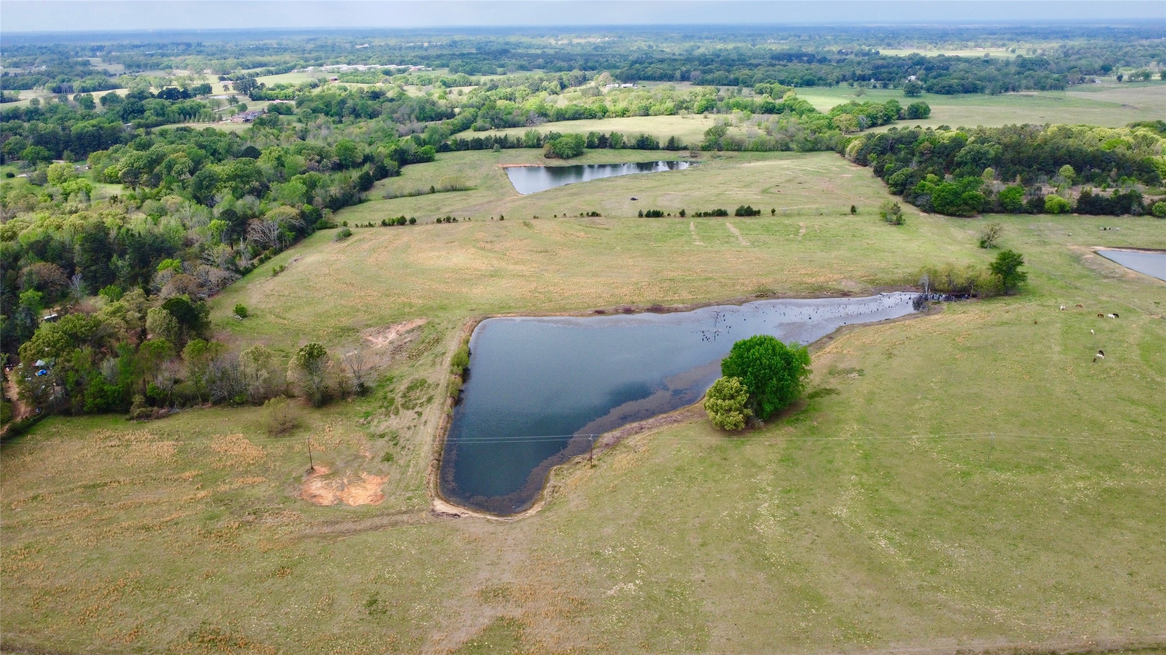 Tbd Fm 1001 Cookville TX 75558
