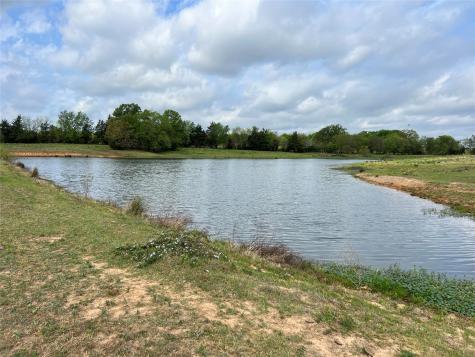 TBD Fm 1001 Cookville TX 75558