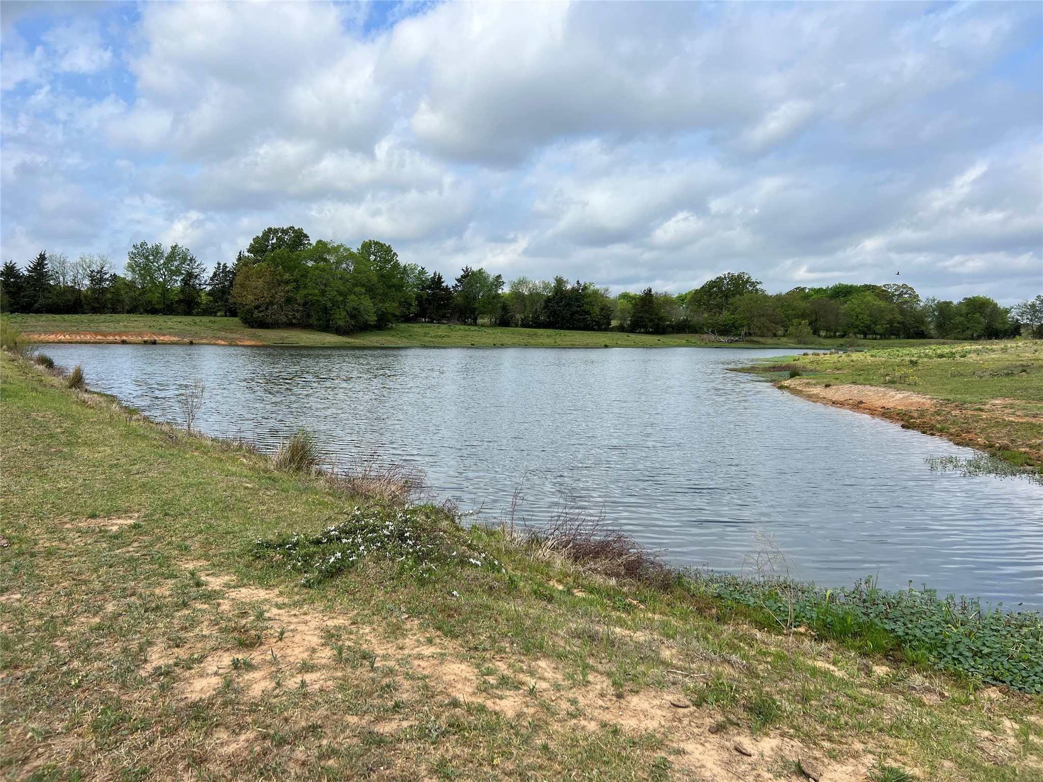 Tbd Fm 1001 Cookville TX 75558