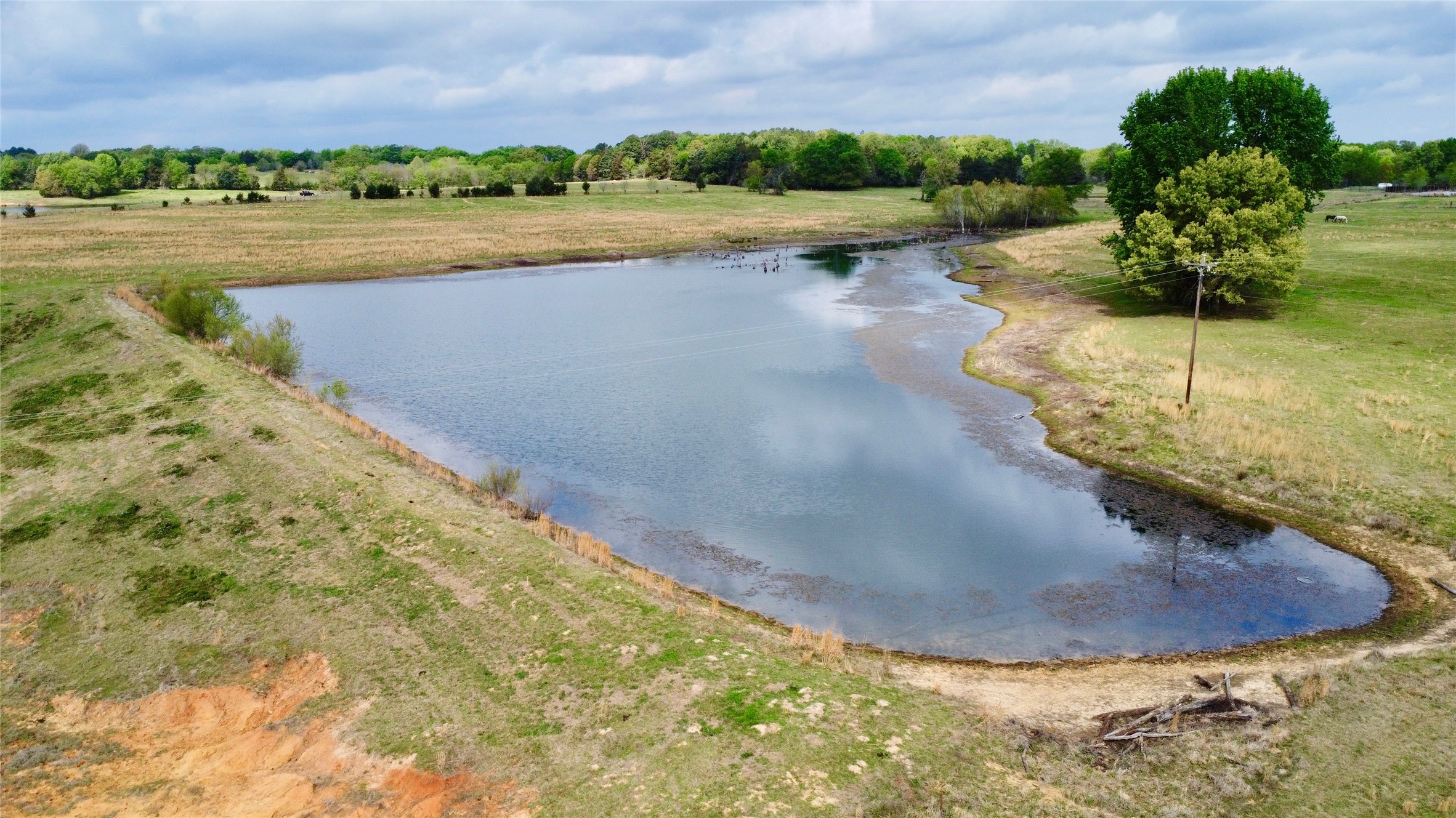 Tbd Fm 1001 Cookville TX 75558