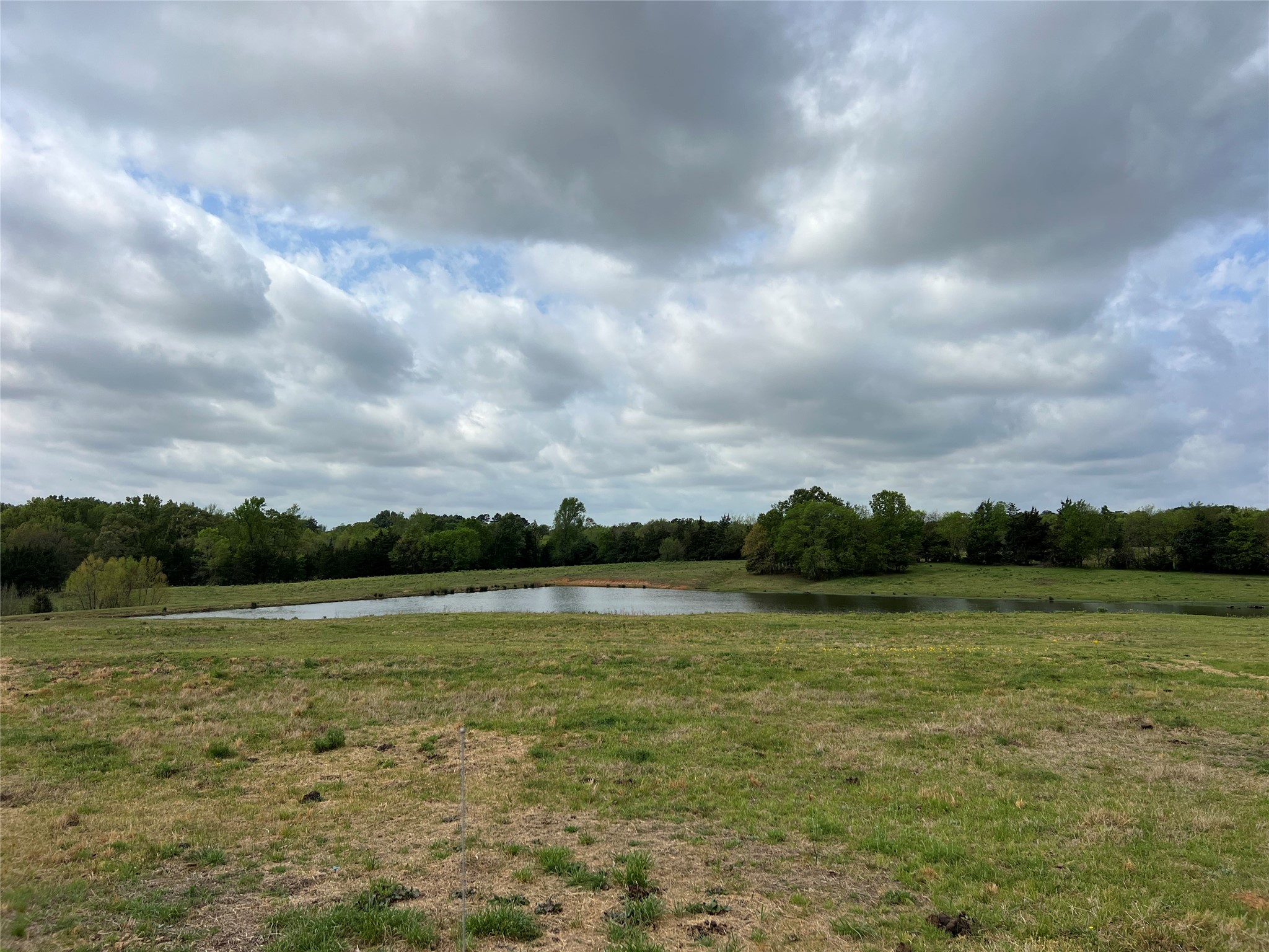 Tbd Fm 1001 Cookville TX 75558