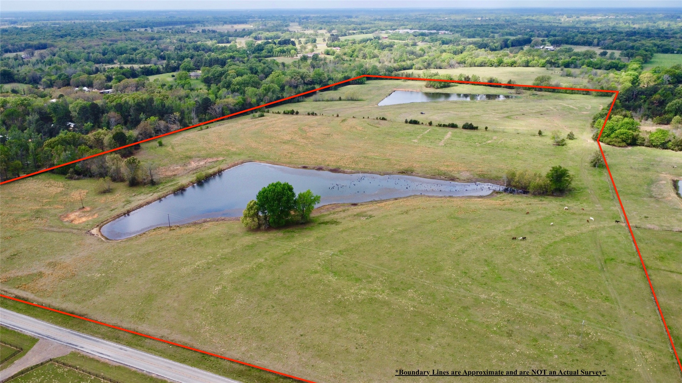 Tbd Fm 1001 Cookville TX 75558