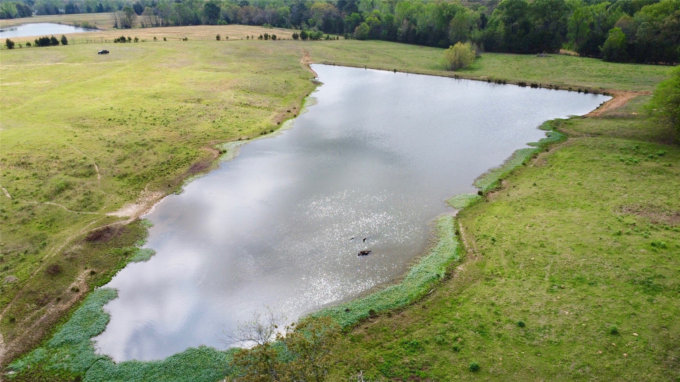 Tbd Fm 1001 Cookville TX 75558