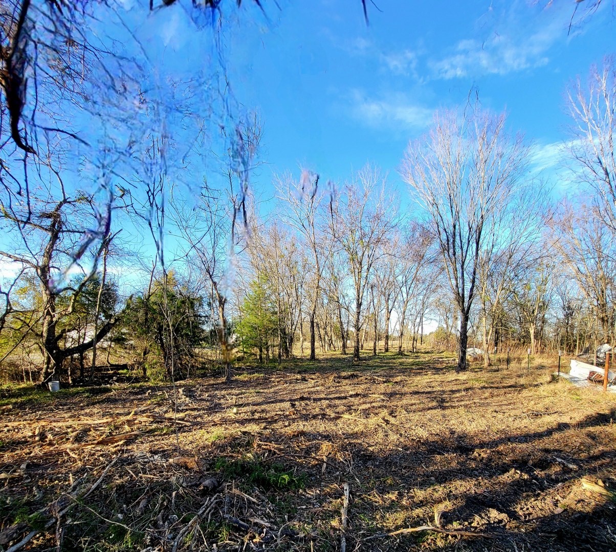 1241 Vz County Road 2718 Mabank TX 75147