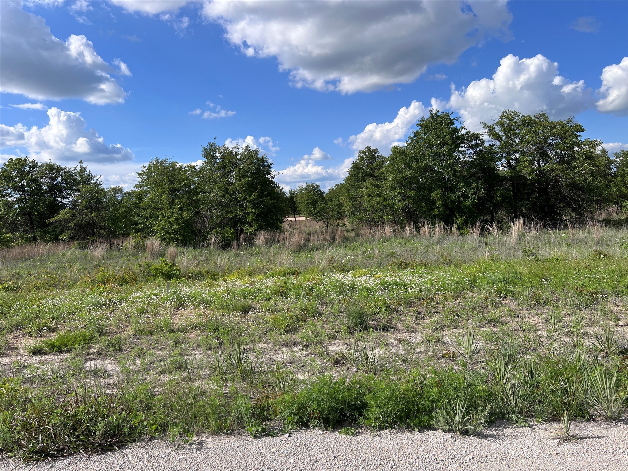 Tbd Lot 23 Live Oak Trail Clyde TX 79510