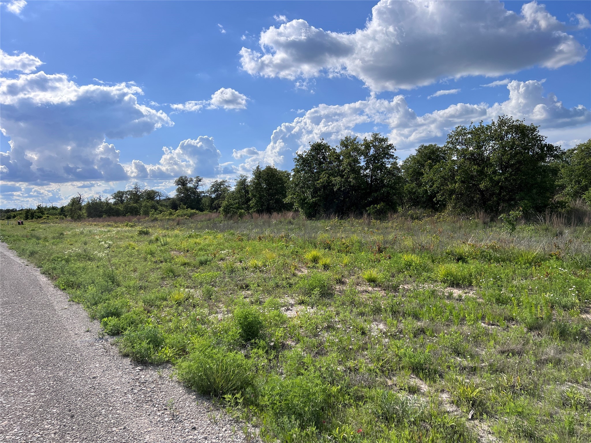 Tbd Lot 23 Live Oak Trail Clyde TX 79510