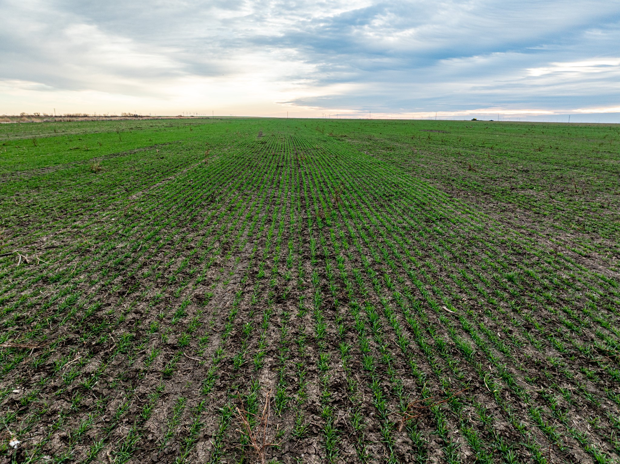 1 County Road 119 Haskell TX 79521