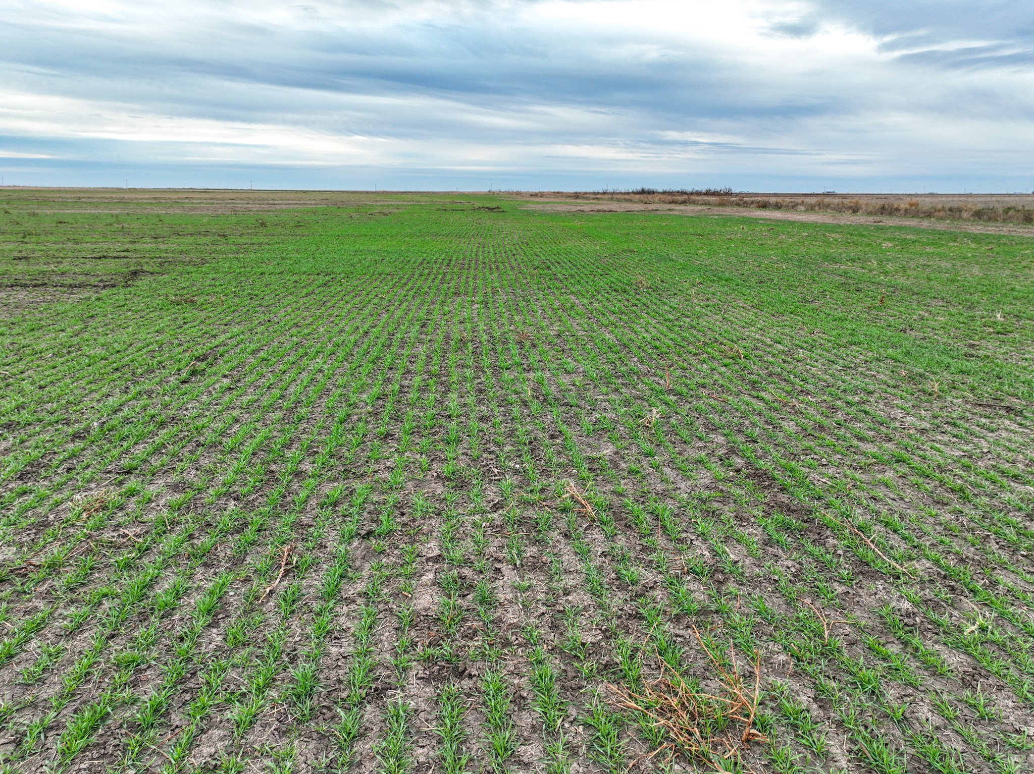 1 County Road 119 Haskell TX 79521