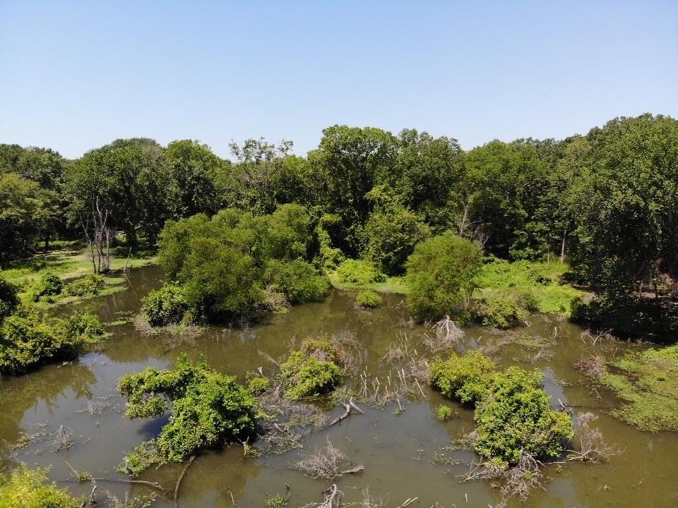 Tbd Cr-3624 Drive Quinlan TX 75474