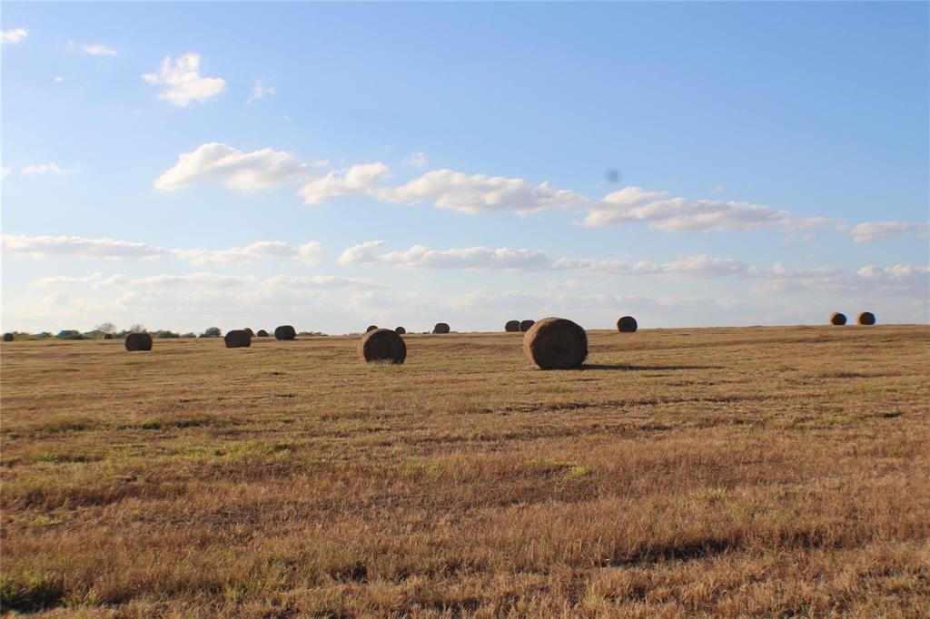 Tbd Co Road 4518 Wolfe City TX 75496