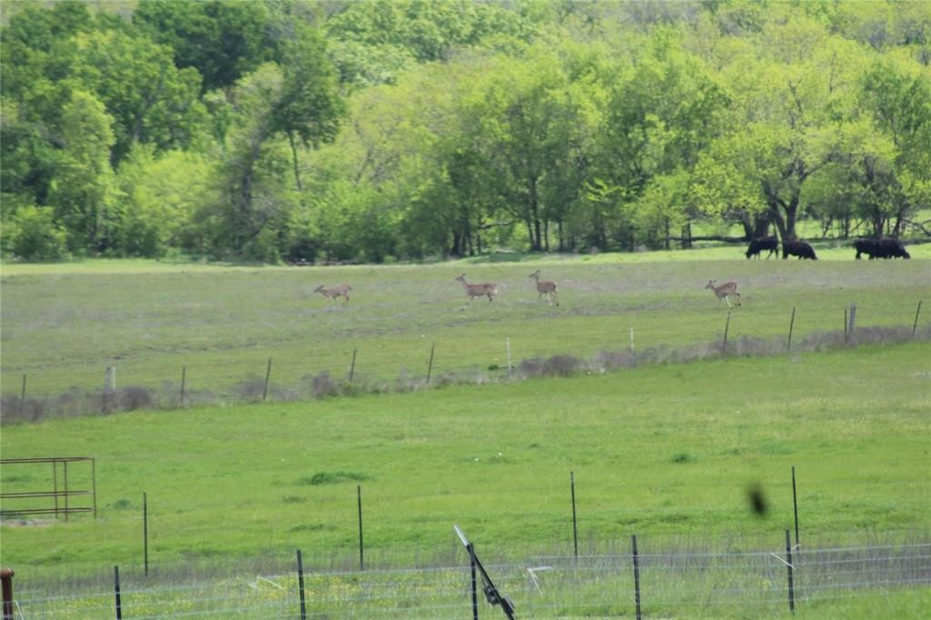 Tbd Co Road 4518 Wolfe City TX 75496