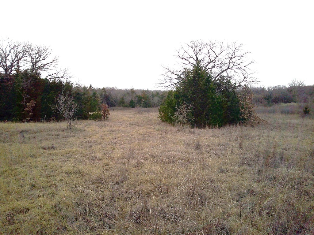 Trail 1 State Highway 59 Montague TX 76251