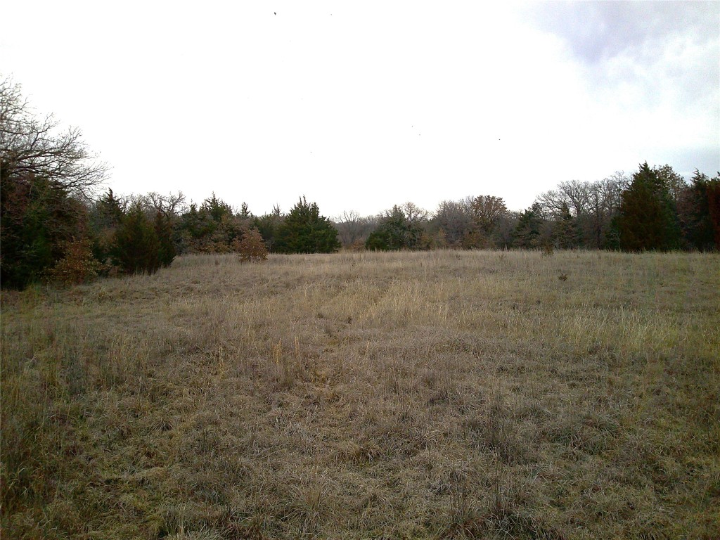 Trail 1 State Highway 59 Montague TX 76251