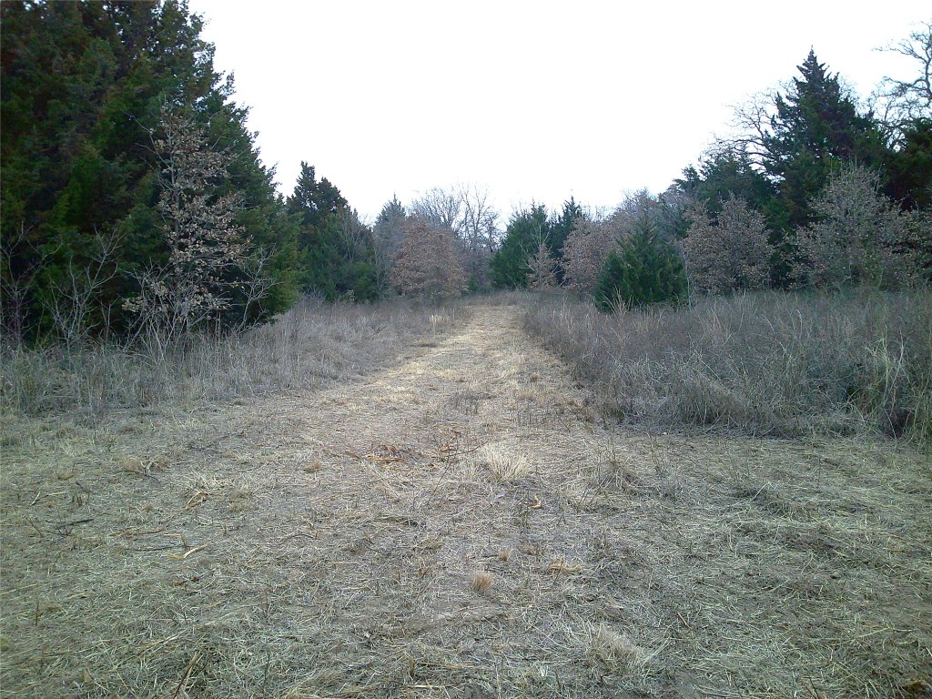 Trail 1 State Highway 59 Montague TX 76251