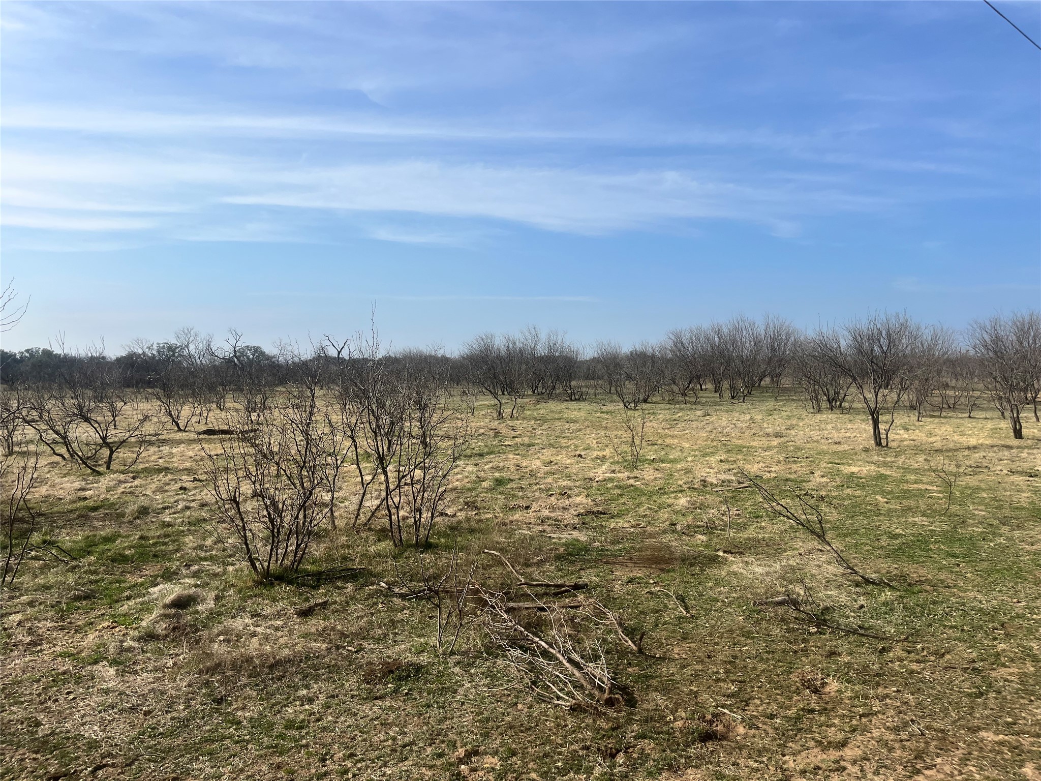 Tbd Cr 147 Brownwood TX 76801