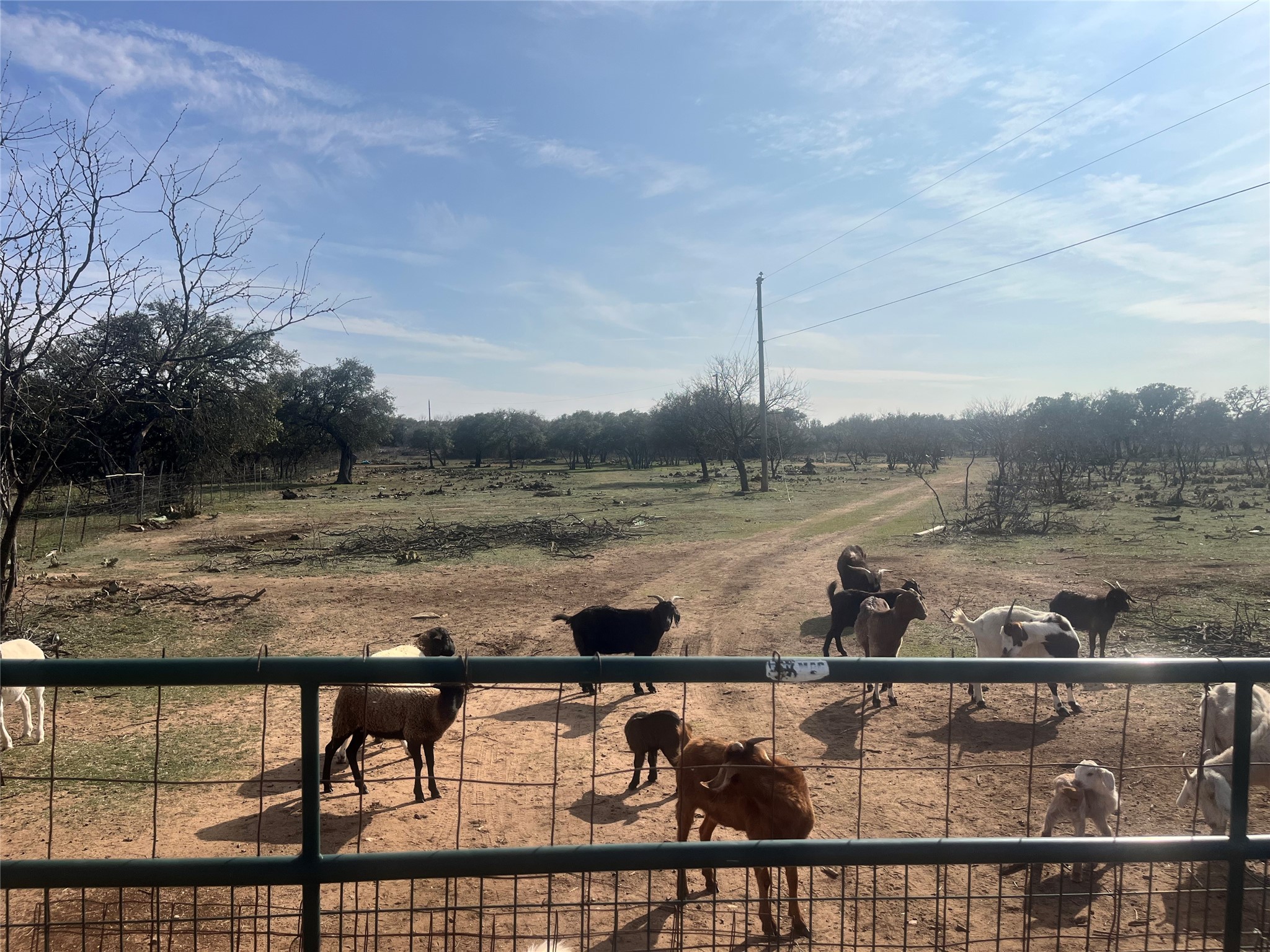 Tbd Cr 147 Brownwood TX 76801