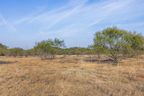 Tract 2 Tbd Cr 424 Rochelle TX 76872