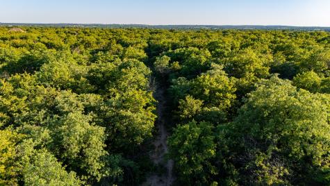181000 Farm To Market 920 Poolville TX 76487