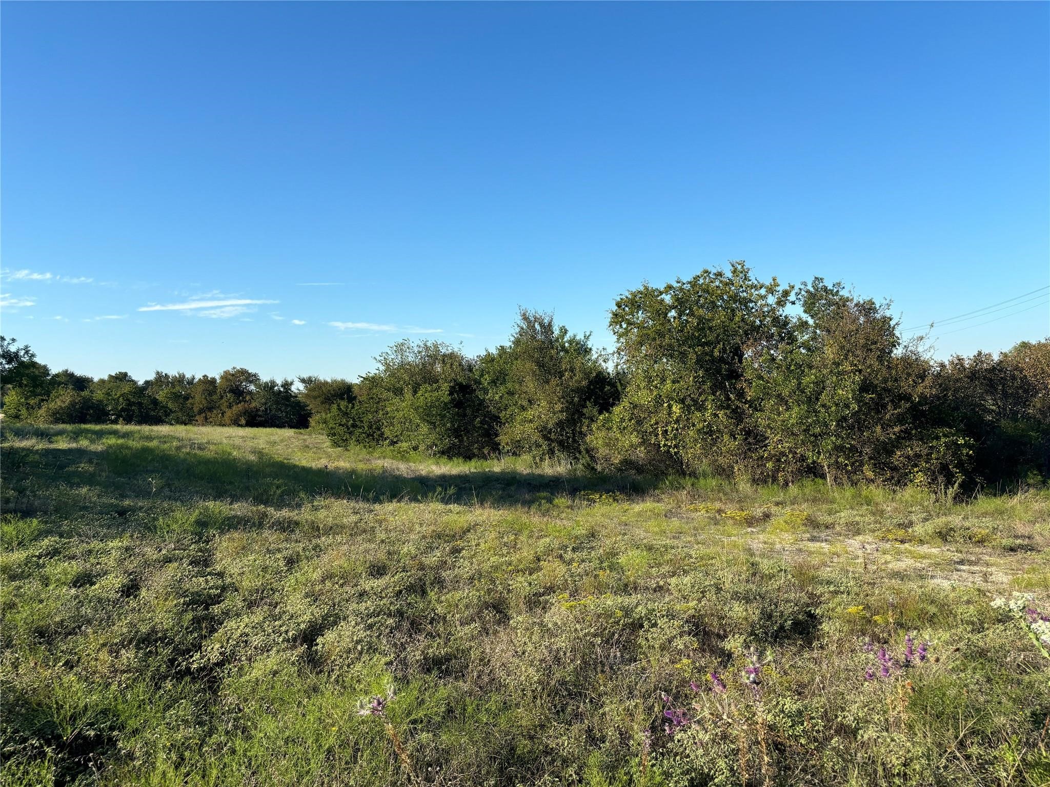 2401 True Grit Way Cresson TX 76035