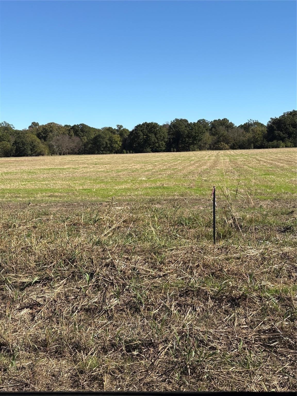 Lot 3 County Road 2130 Telephone TX 75488
