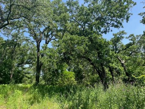 Lot 44 Antrim Court Poolville TX 76487