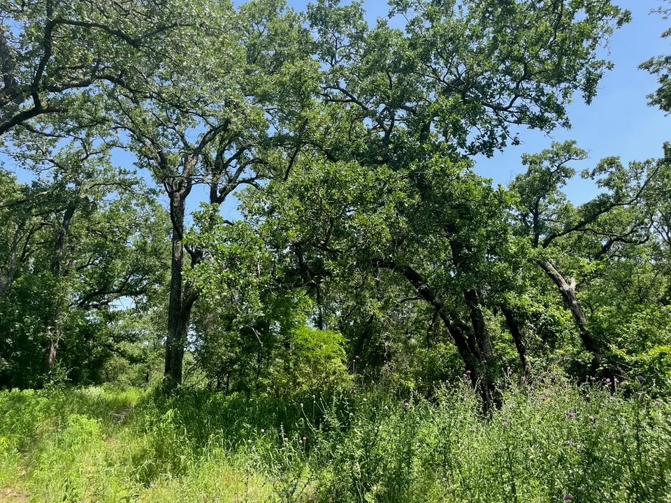 Lot 44 Antrim Court Poolville TX 76487