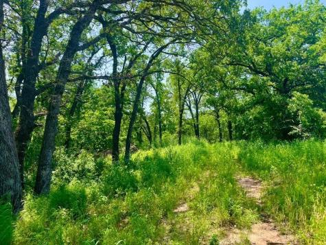 Lot 44 Antrim Court Poolville TX 76487