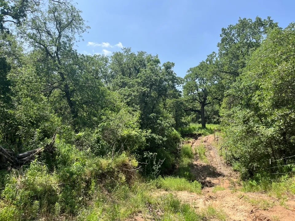 Lot 44 Antrim Court Poolville TX 76487