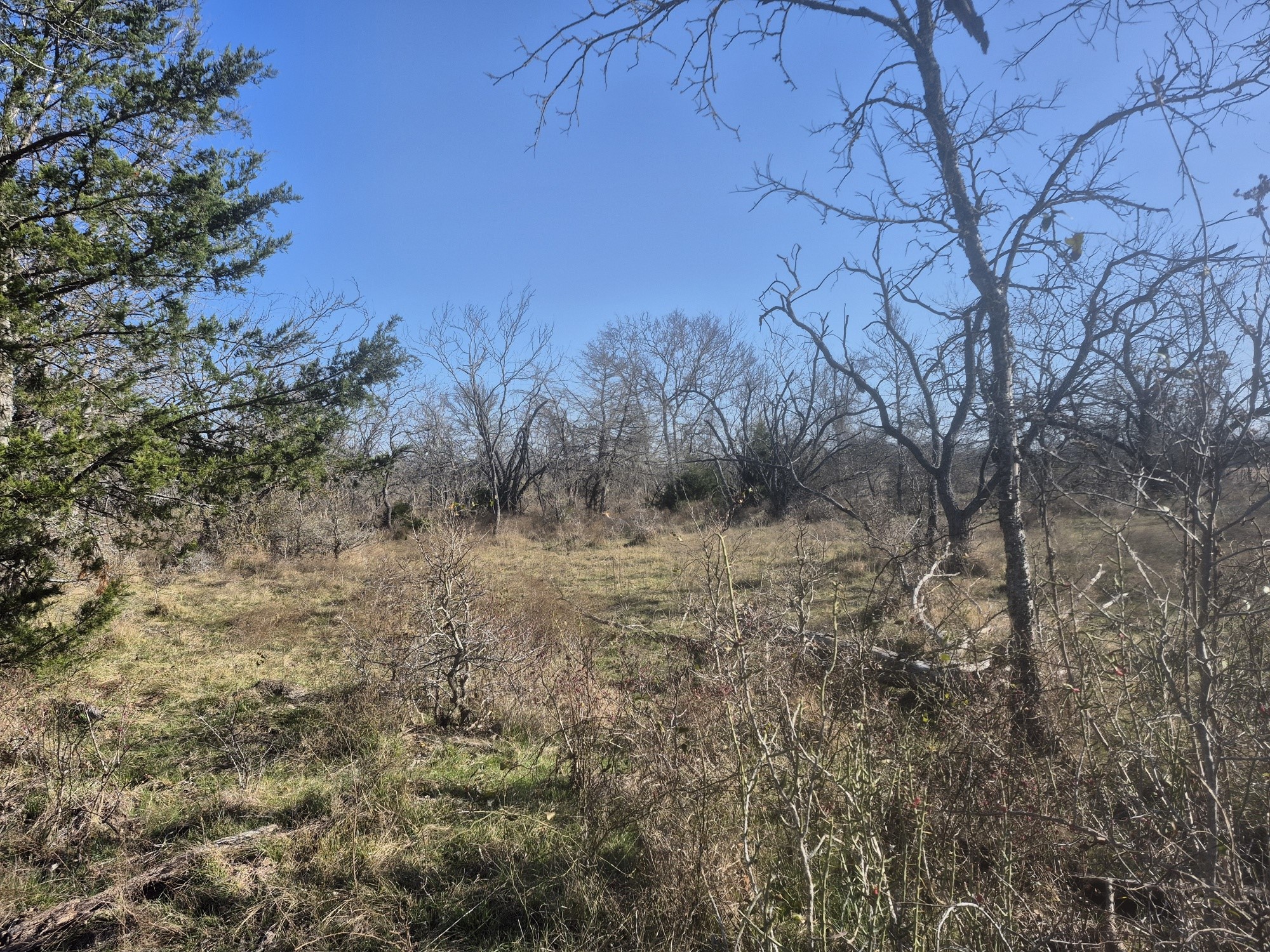 474 Fm 2958 Marlin TX 76661