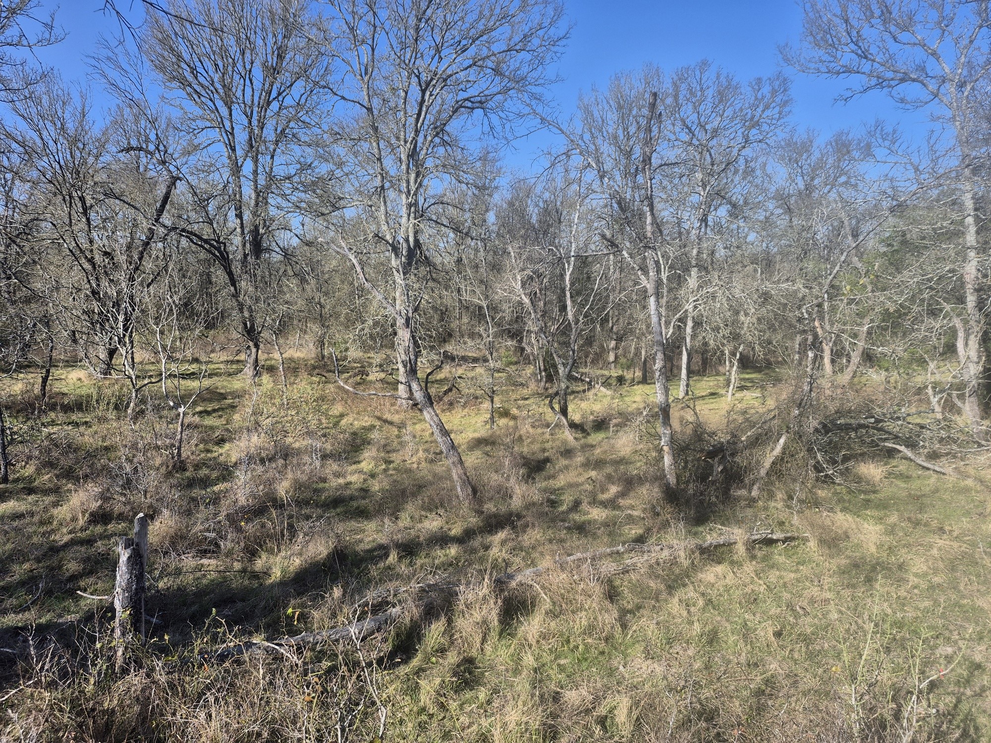 474 Fm 2958 Marlin TX 76661