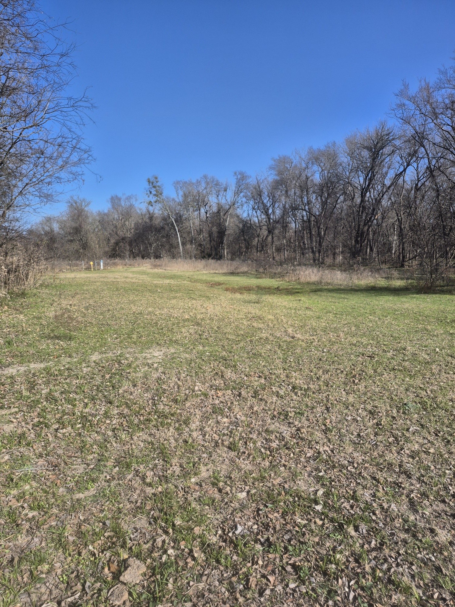 474 Fm 2958 Marlin TX 76661