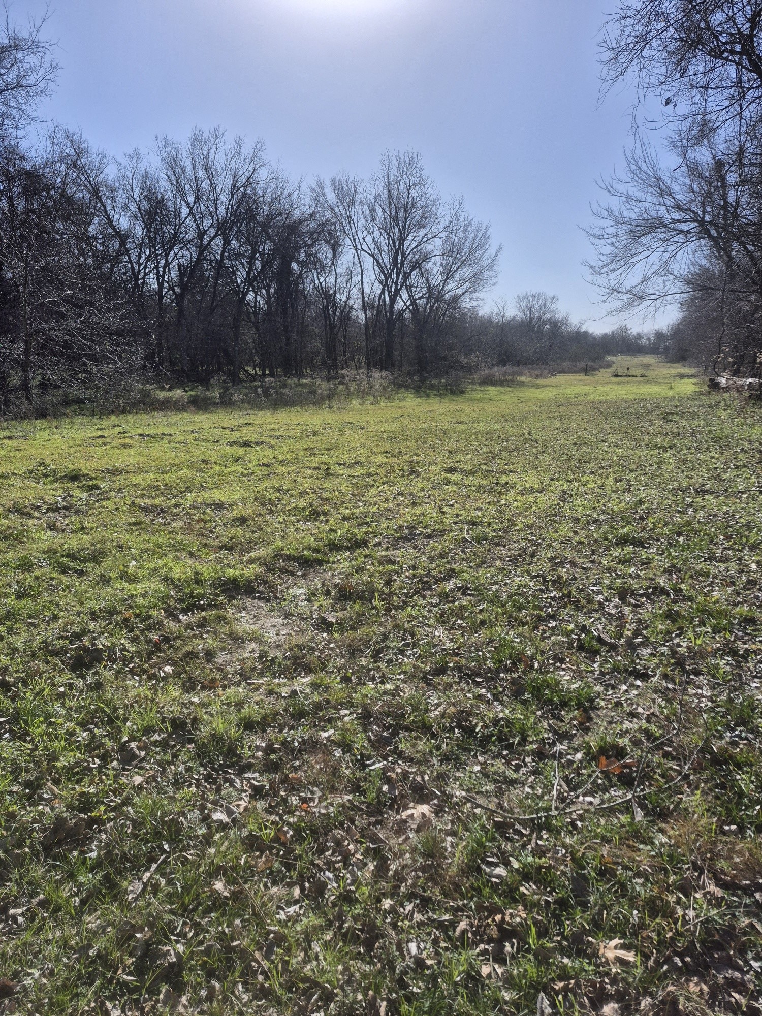 474 Fm 2958 Marlin TX 76661