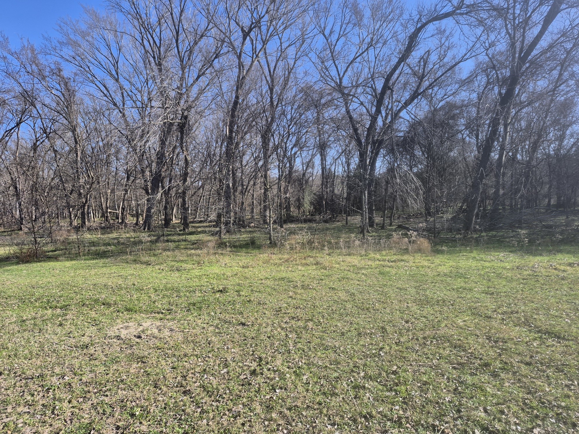 474 Fm 2958 Marlin TX 76661