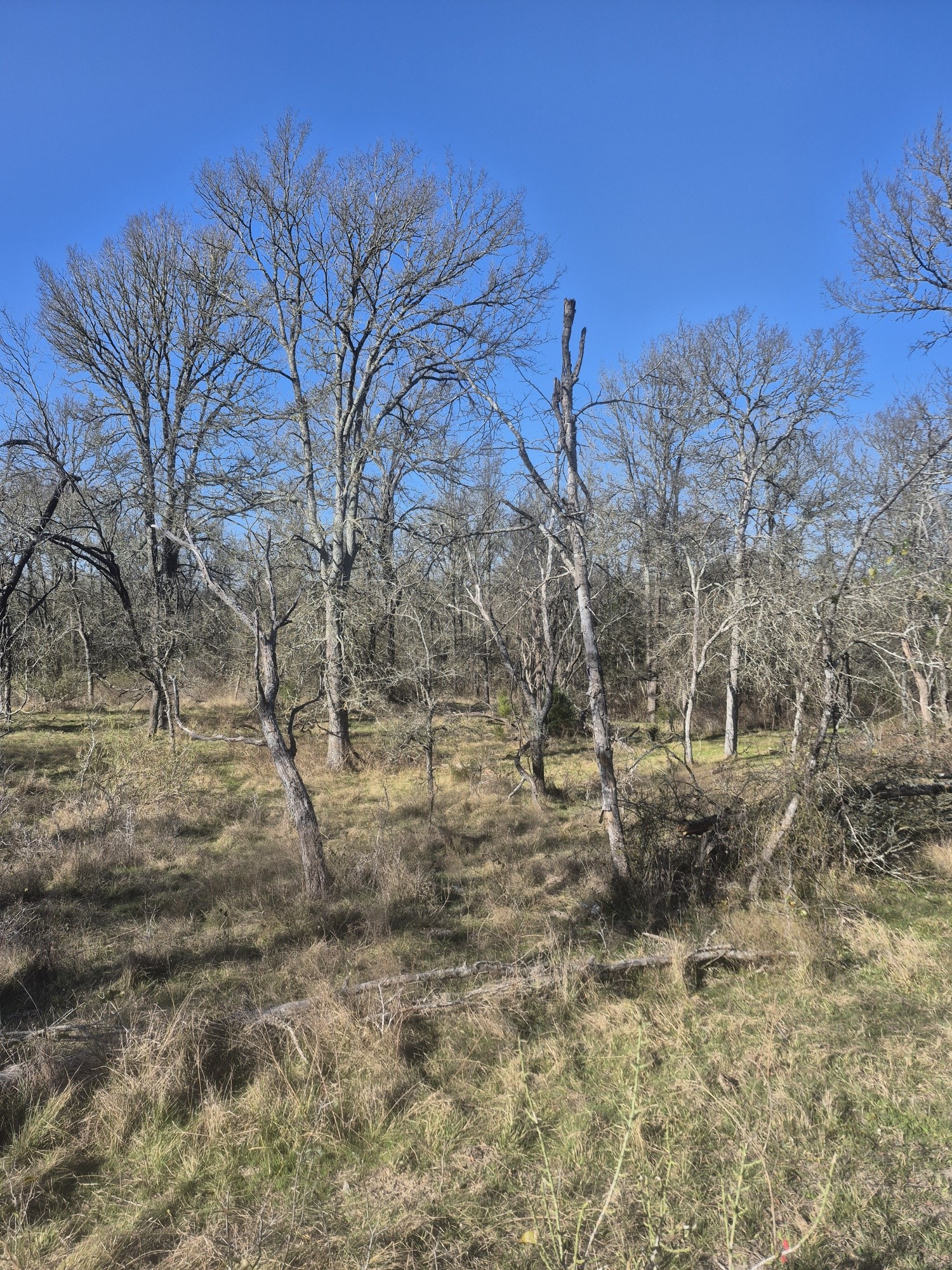 474 Fm 2958 Marlin TX 76661