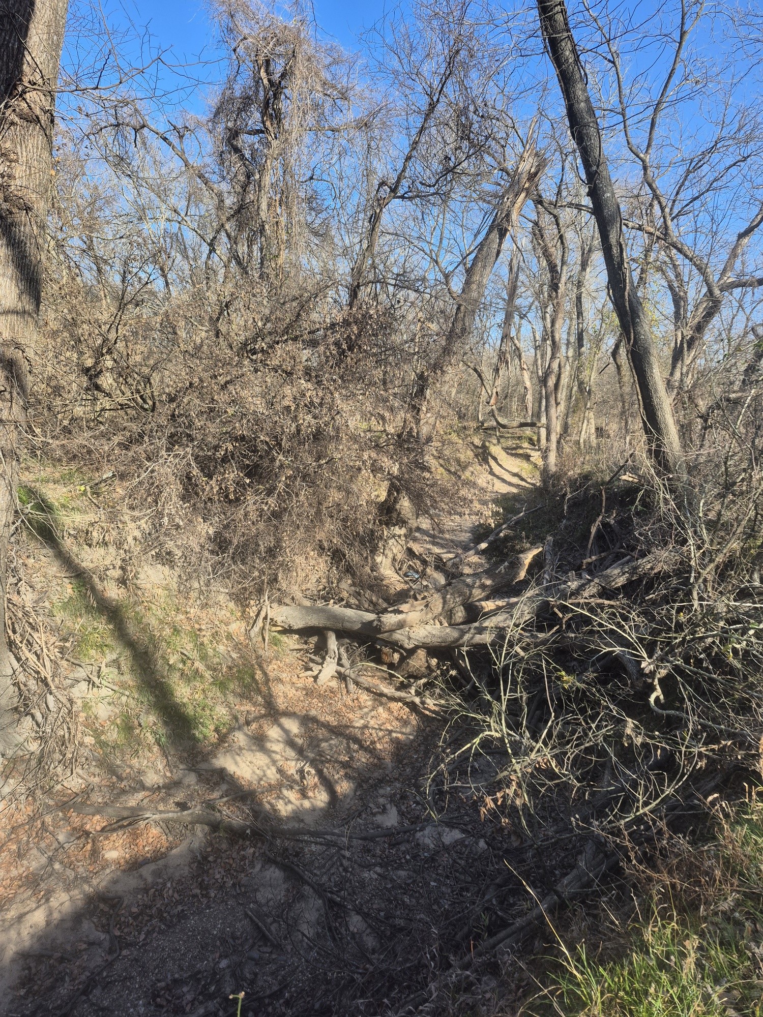 474 Fm 2958 Marlin TX 76661