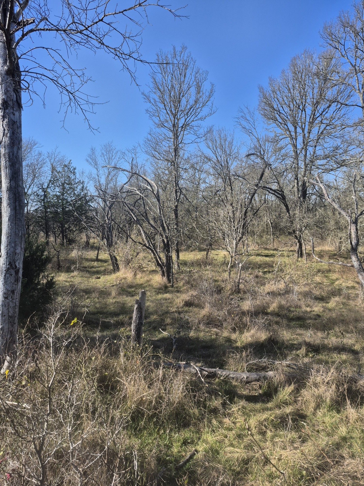 474 Fm 2958 Marlin TX 76661