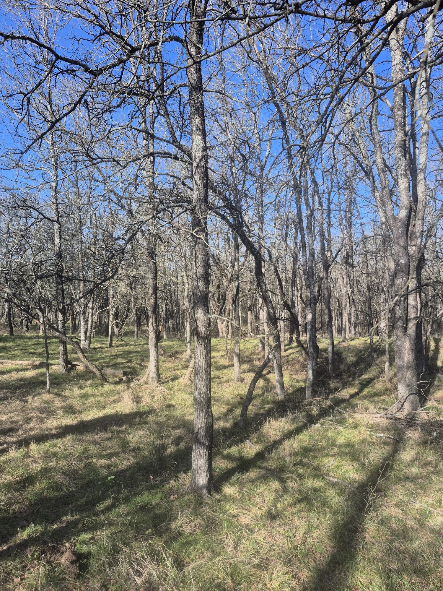 474 Fm 2958 Marlin TX 76661