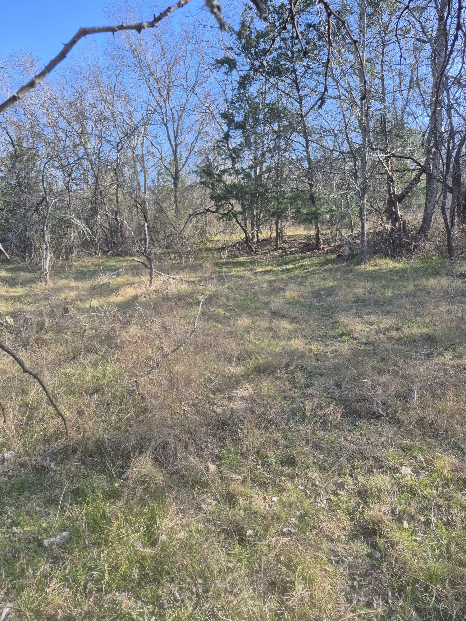 474 Fm 2958 Marlin TX 76661