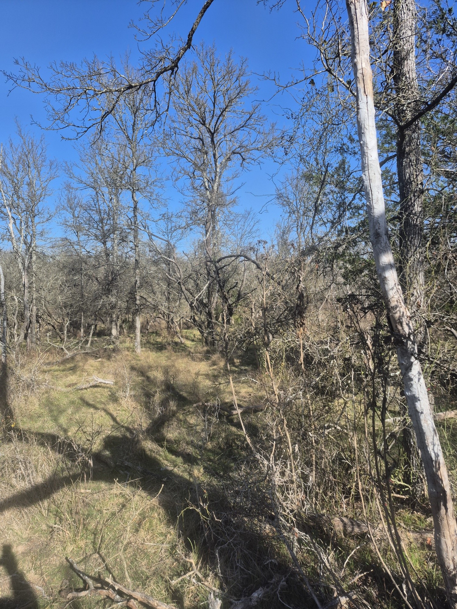 474 Fm 2958 Marlin TX 76661