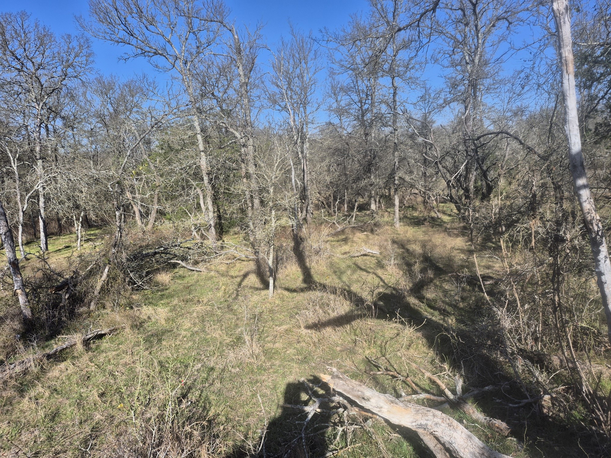 474 Fm 2958 Marlin TX 76661