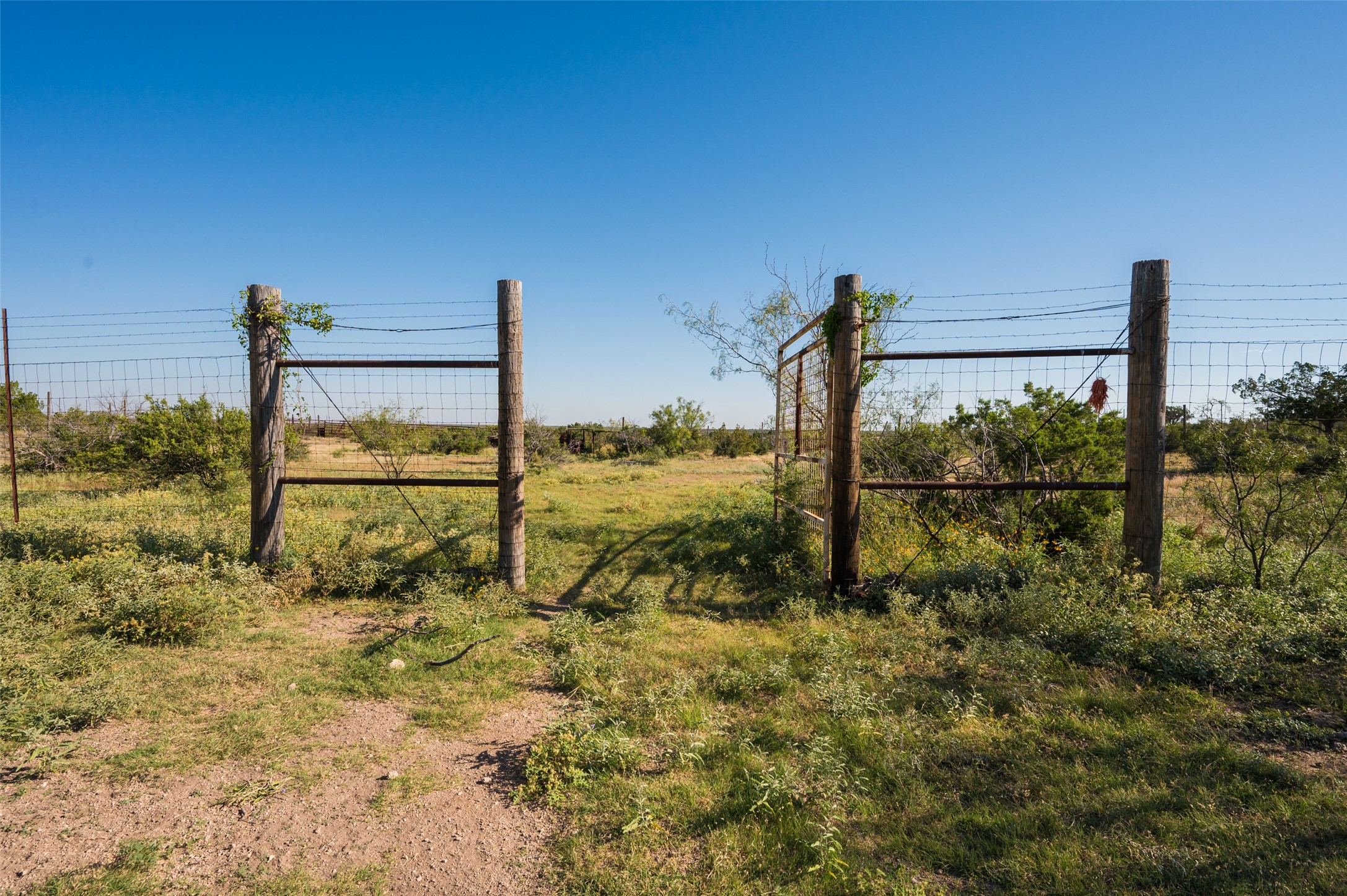 000 Fm 2400 And 349 Sanderson TX 79781