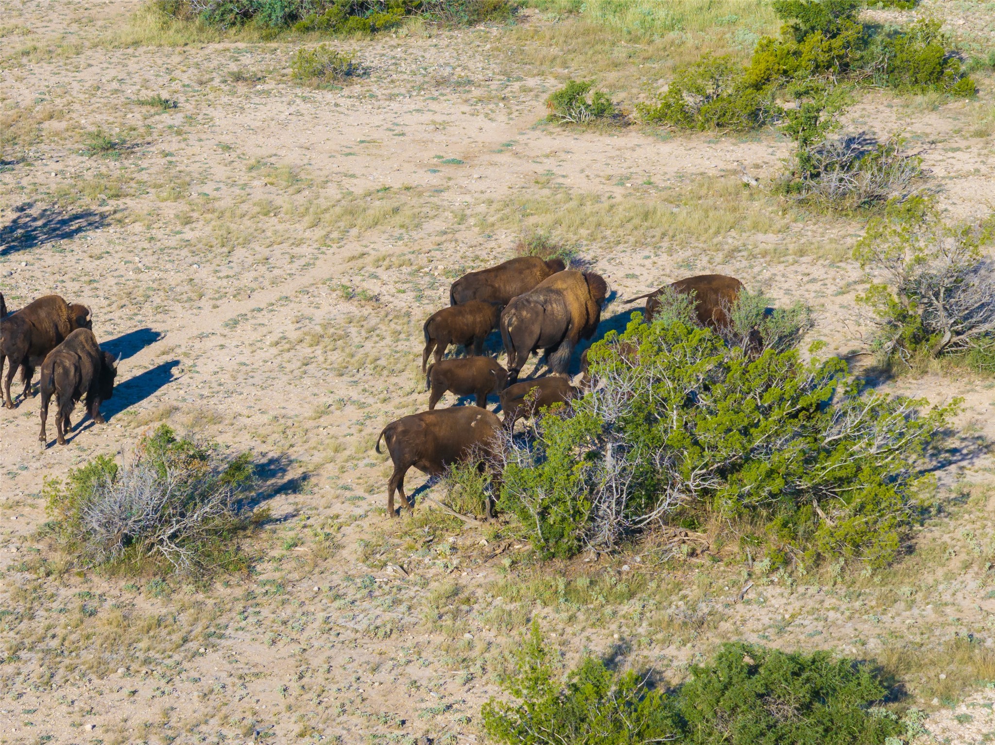 000 Fm 2400 And 349 Sanderson TX 79781