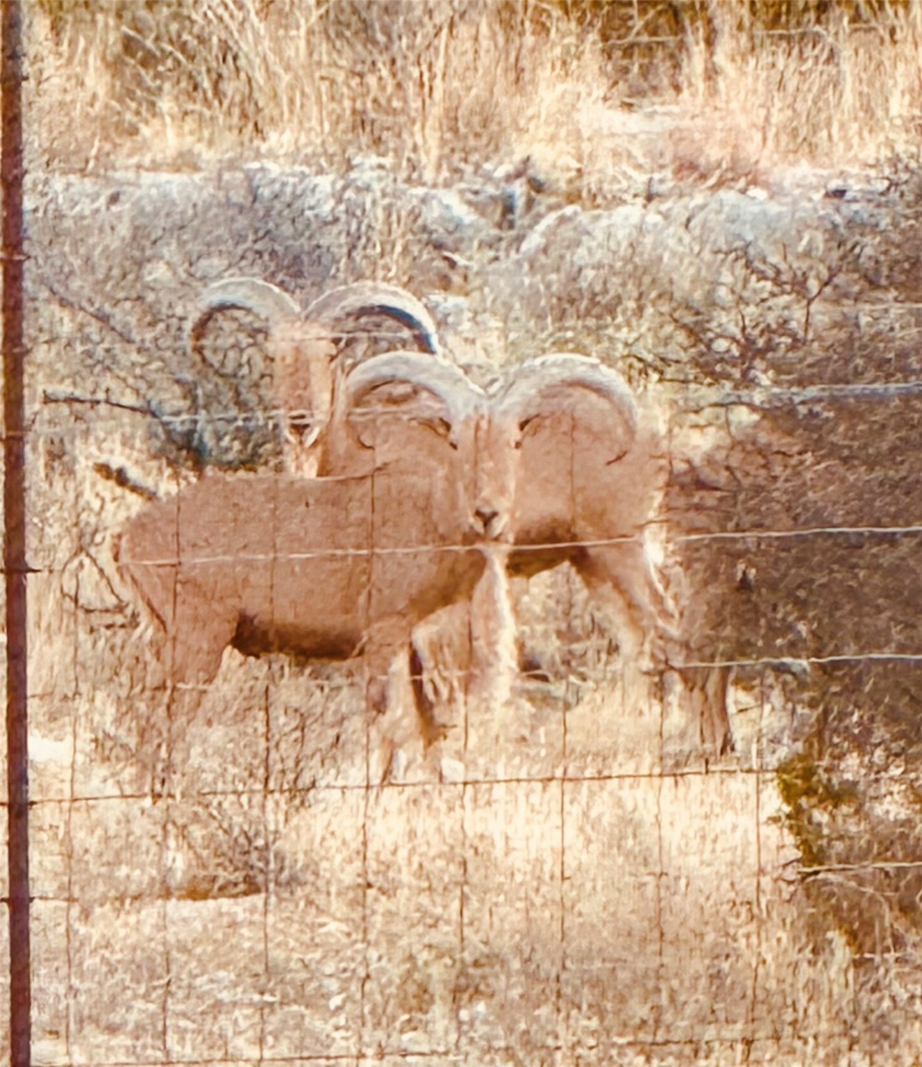 000 Fm 2400 And 349 Sanderson TX 79781