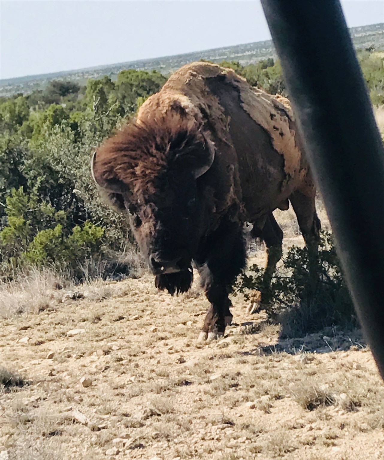 000 Fm 2400 And 349 Sanderson TX 79781