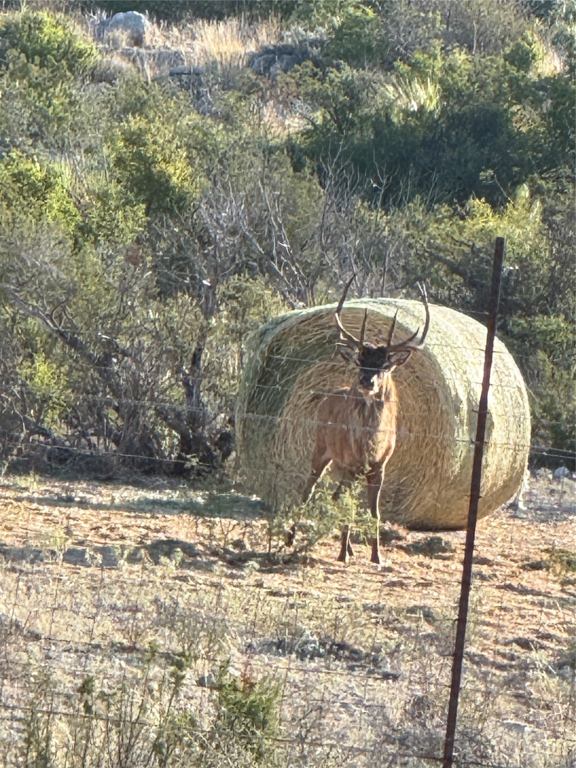 000 Fm 2400 And 349 Sanderson TX 79781